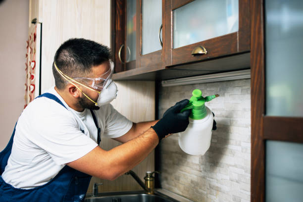 Best Pest Control Near Me  in Lamont, CA