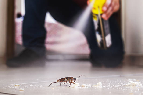Professional Pest Control in Lamont, CA