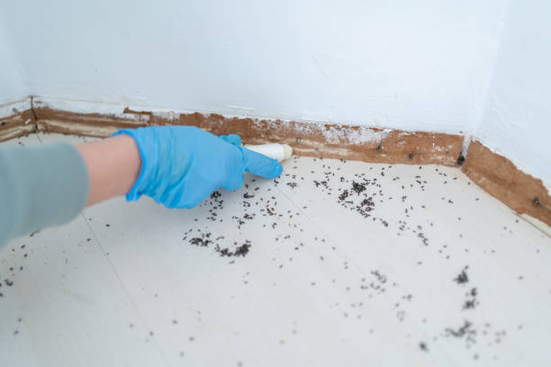 Lamont, CA Pest Control Company